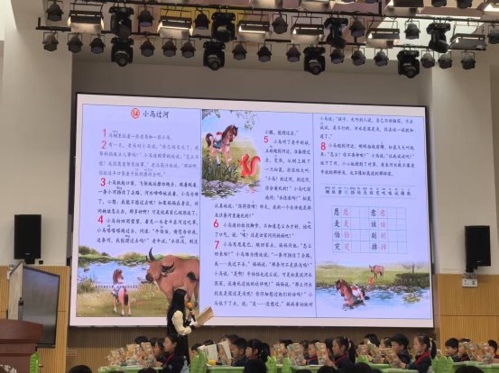 蔡（1）
