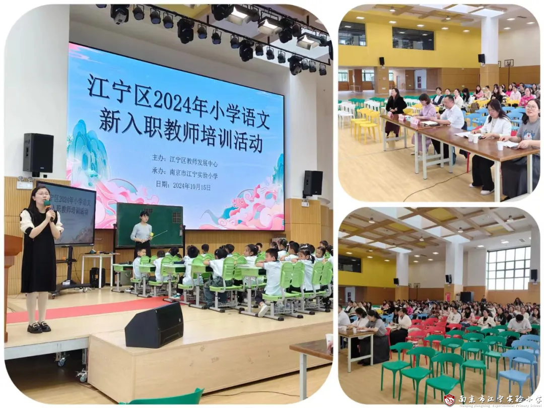 mmexport1733755101226.png mmexport1733755101226.png